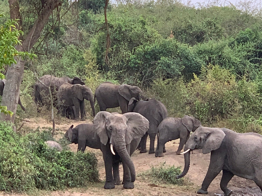 Albertine Valley Lodge主图