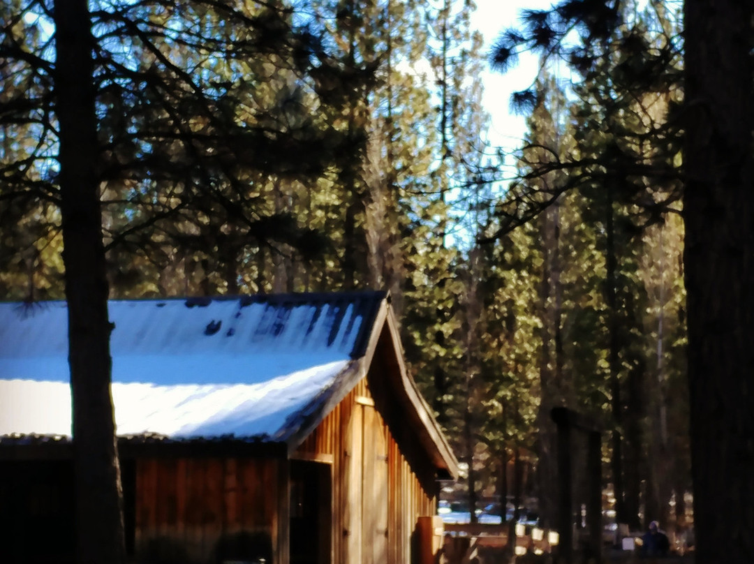 High Desert Museum景点图片