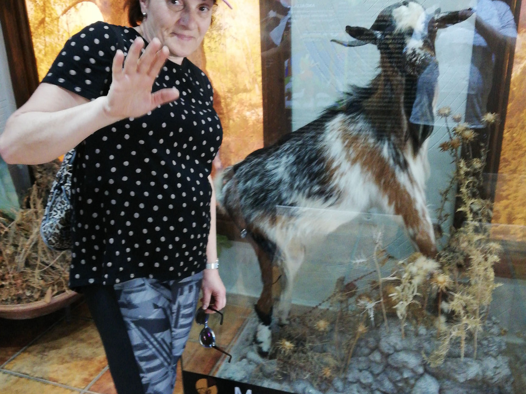 Museo del Queso El Bosque景点图片