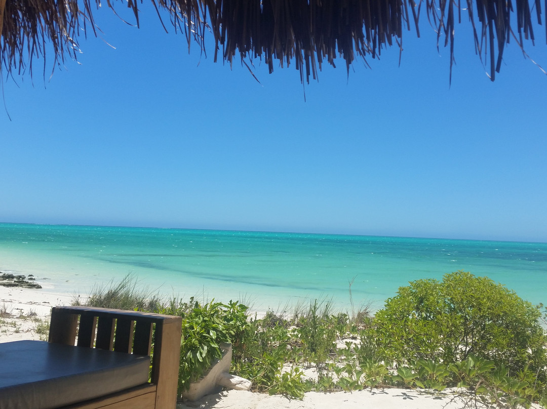 Un Peu Plus Au Nord devient Manga Bay Lodge