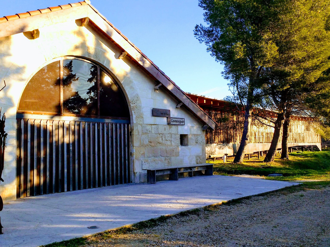 Musee de la Camargue-阿尔勒必去景点