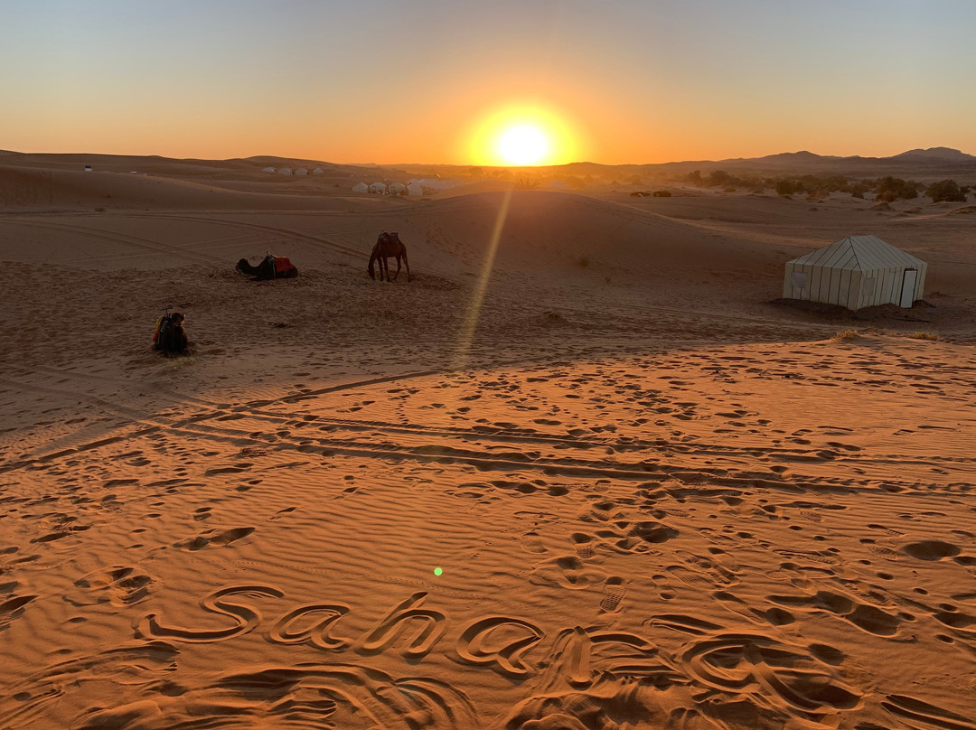 Sahara Luxury Trips-卡萨布兰卡必去景点