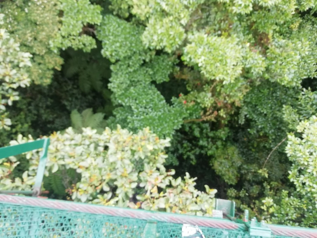 Monteverde Tours-Cerro Plano必去景点