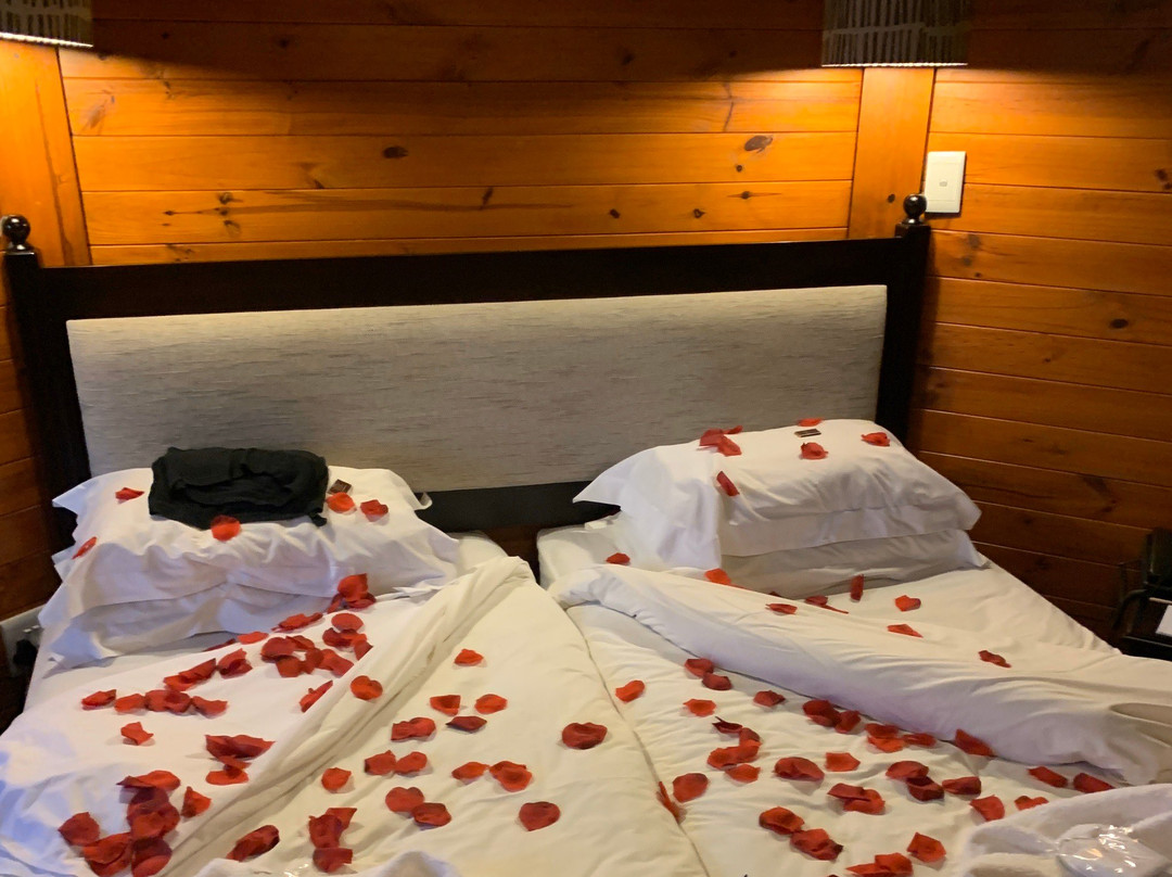 Garden Route Game Lodge Day Safaris-阿尔贝蒂娜必去景点