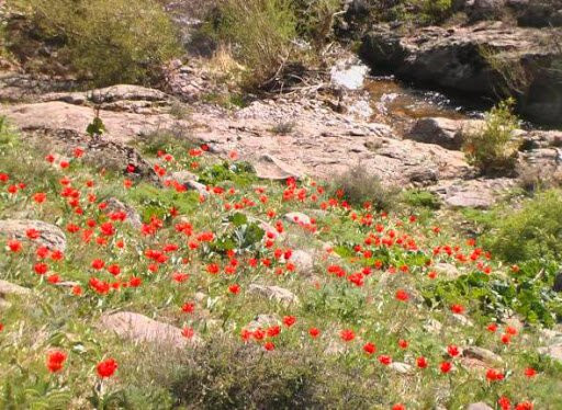 Karatau Nature Reserve-Turkistan必去景点