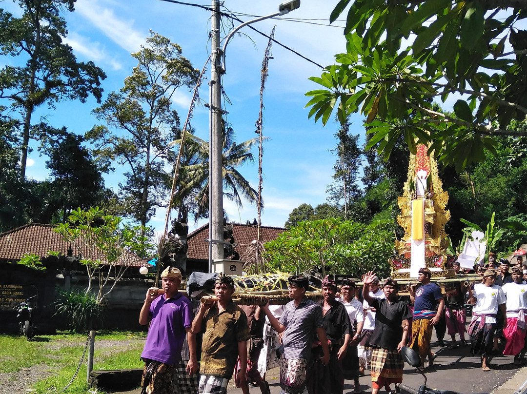 GumiBali Villa主图