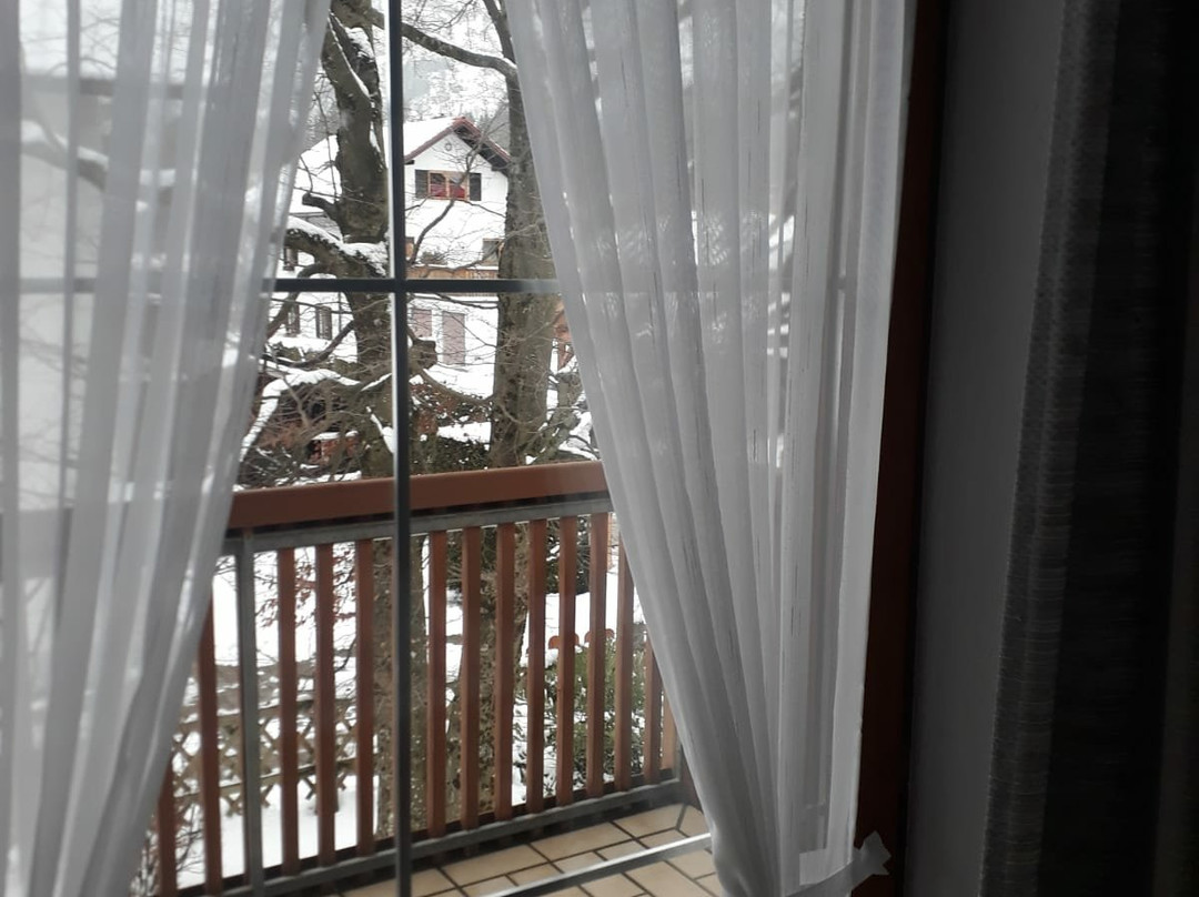 Hotel Garni Antonia主图