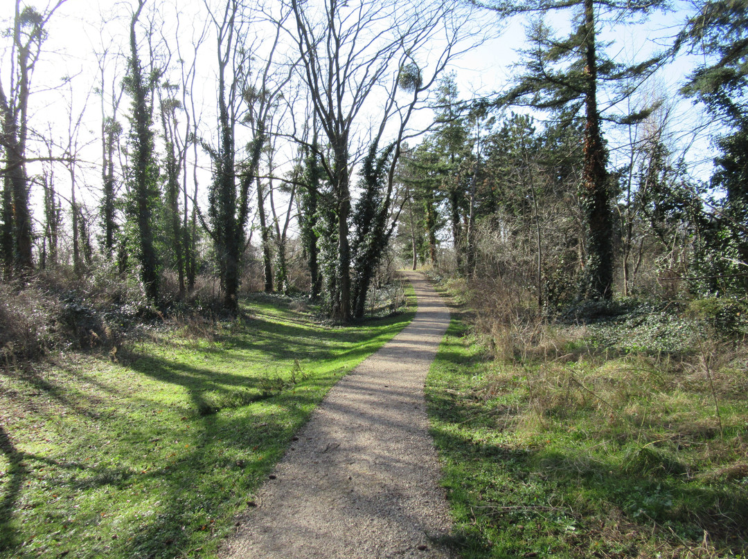 Parc de la Butte Pinson-Villetaneuse必去景点