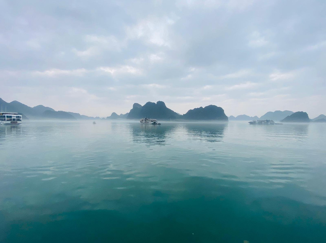 La Pandora Cruises景点图片