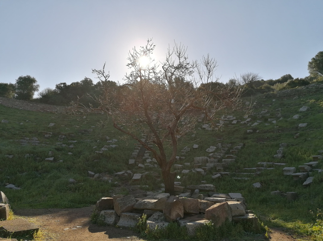 Erythrai Arkeolojik Oren Yeri景点图片