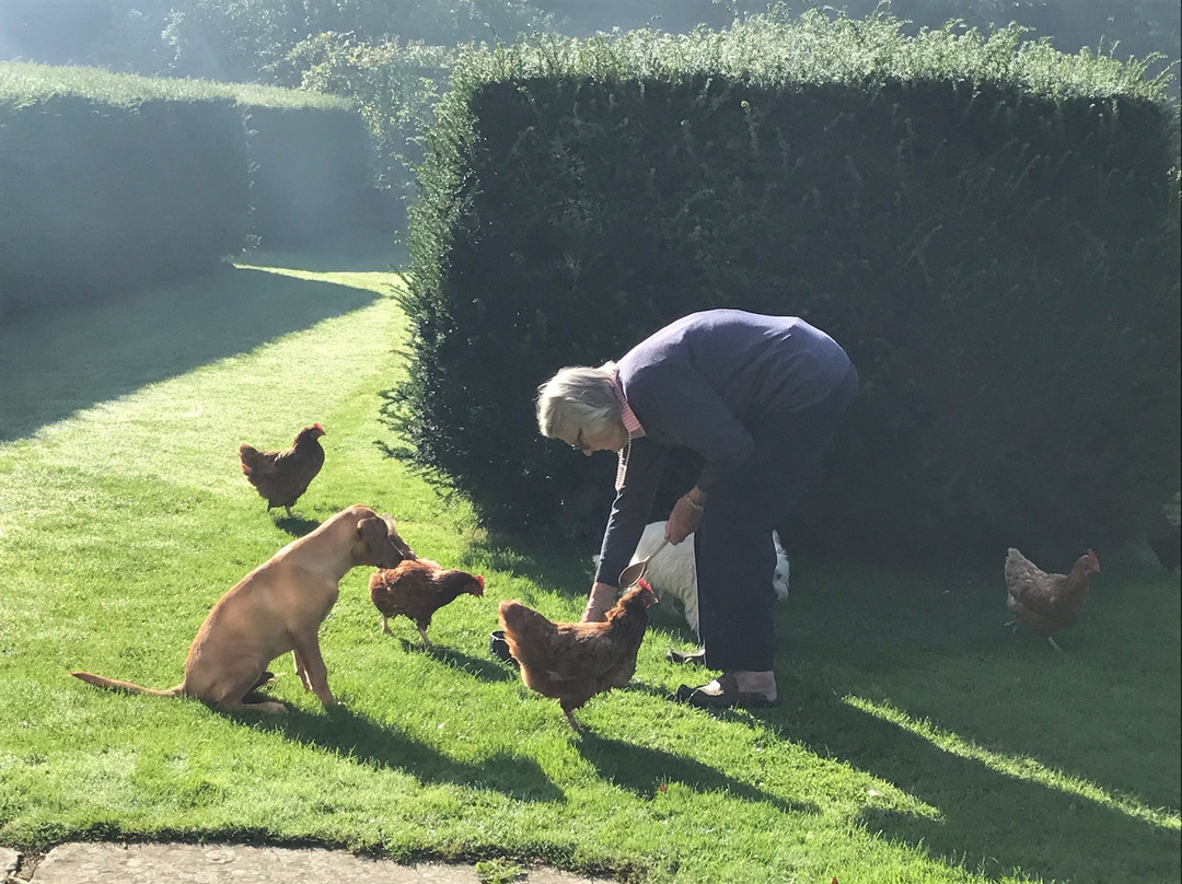 The Garden House Bed & Breakfast主图