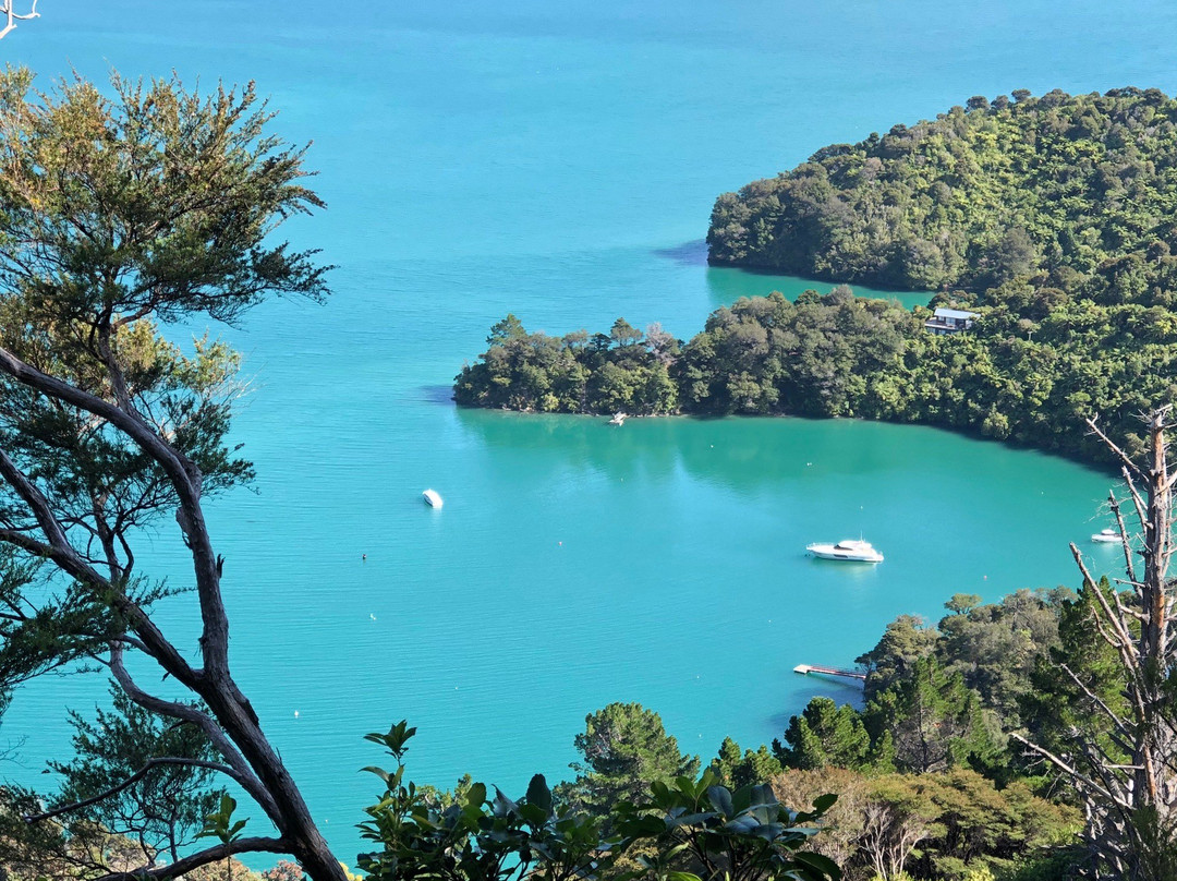 Onahau Point Lookout-Te Mahia必去景点
