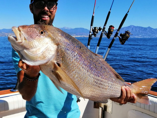 LOVIT Charter-巴努斯港必去景点