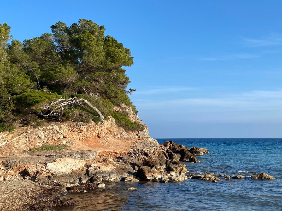 Cala Mastella景点图片