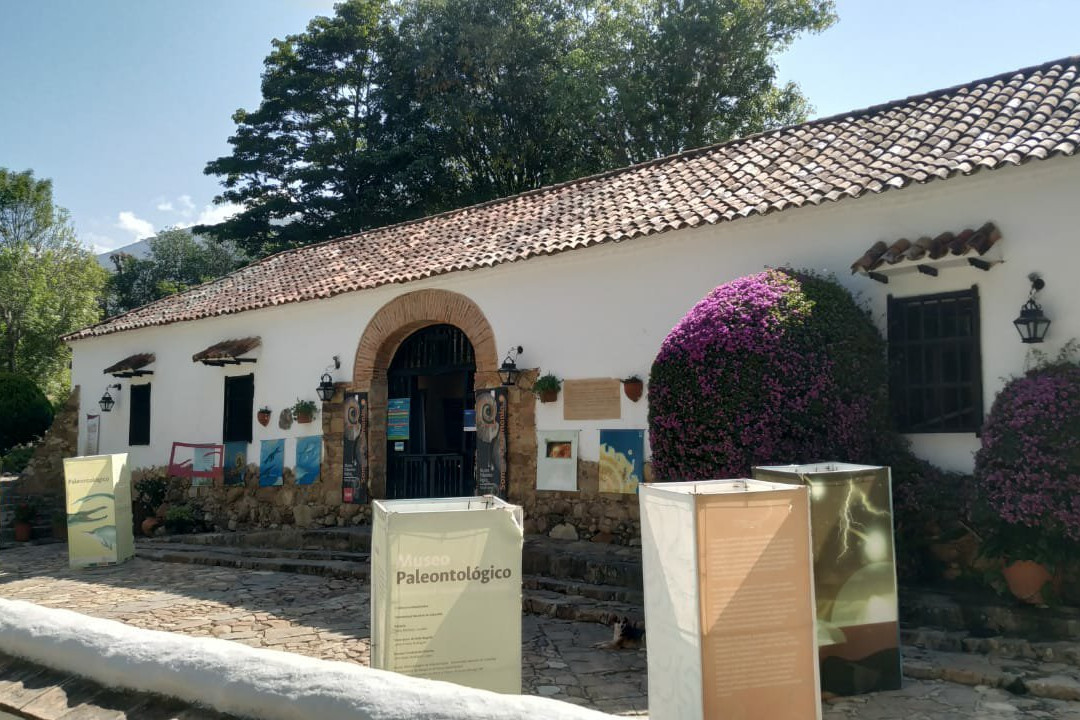 Museo Paleontologico de Villa de Leyva-莱瓦镇必去景点