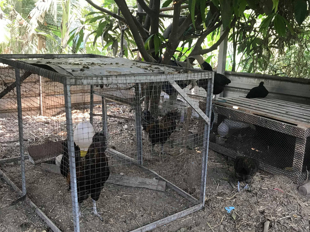 Kar Thoxng Theiyw Cheing Kaset Ban Krathong-挽西必去景点