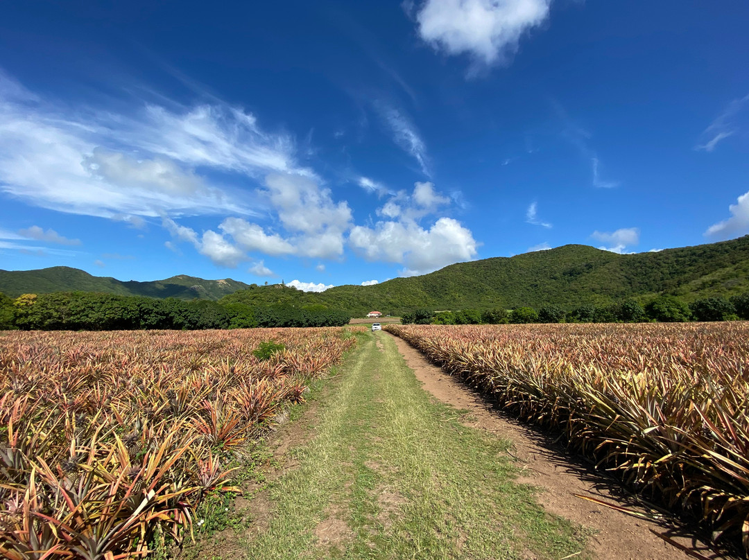 Claremont Farms-Old Road必去景点