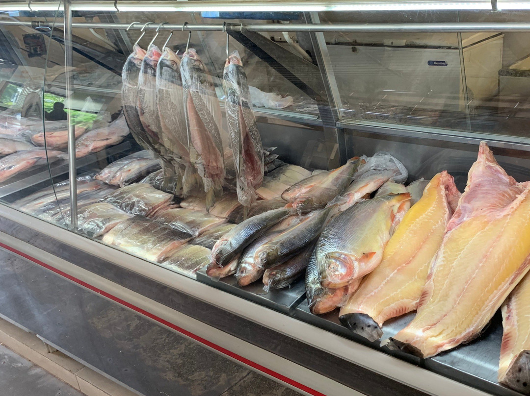 Mercado do Porto景点图片