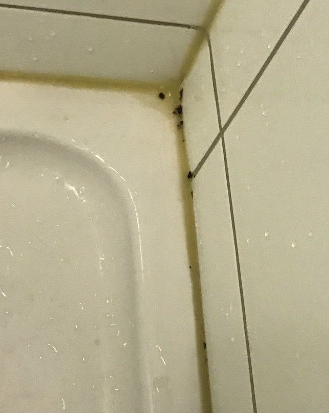 世界酒店主图