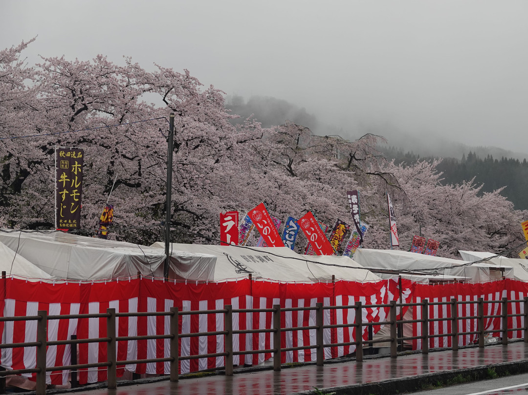 Hinokinaigawa Kasen Ryokuchi景点图片