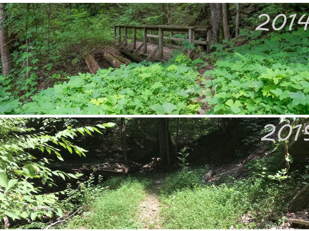 Norman Wilder Forest Trail景点图片
