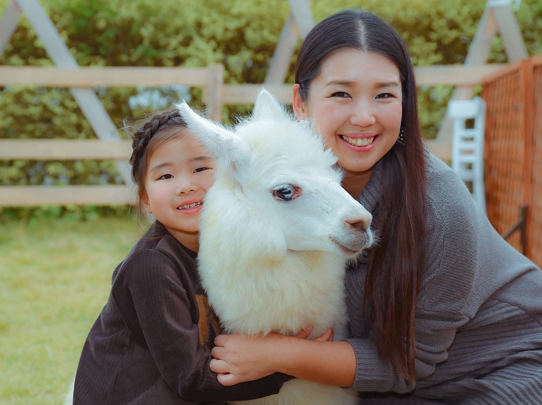 Alpaca Paca-日进市必去景点