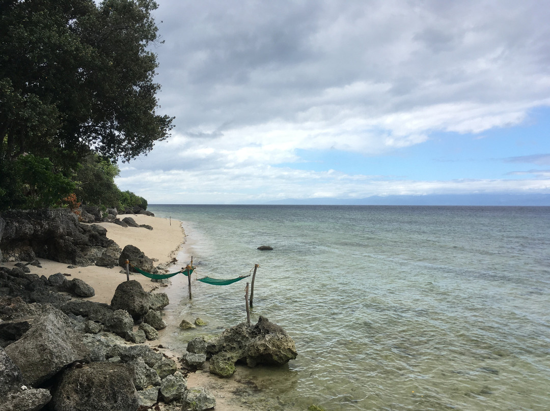 蓝色兰花度假村主图