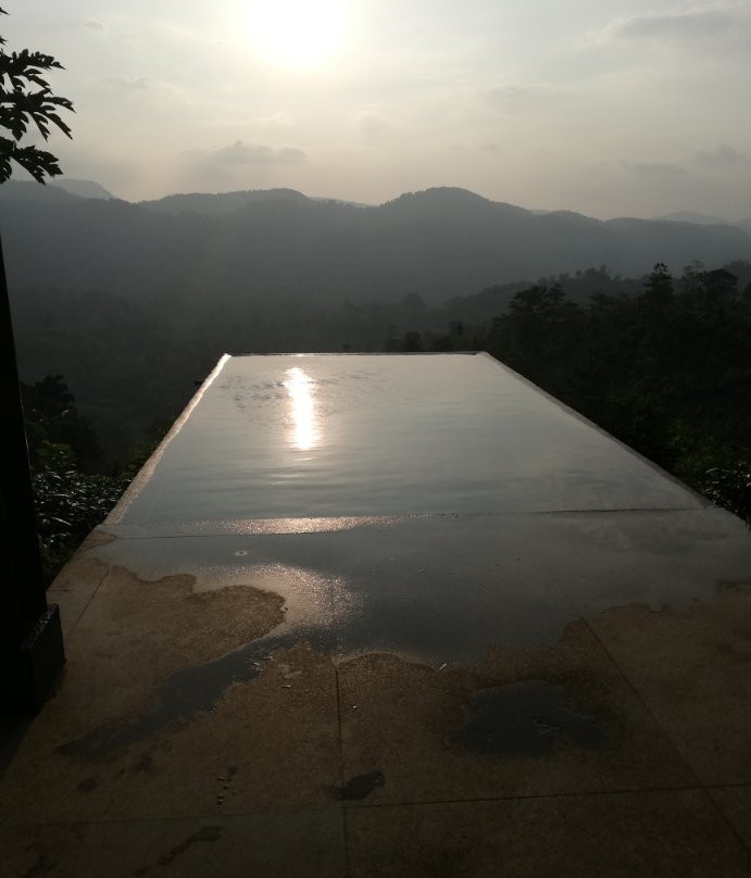 Nest Wood Bungalow主图