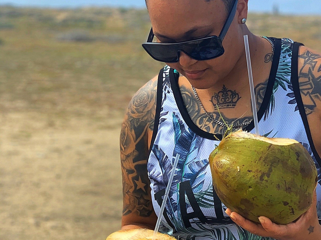 Grapefield Beach-San Nicolas必去景点