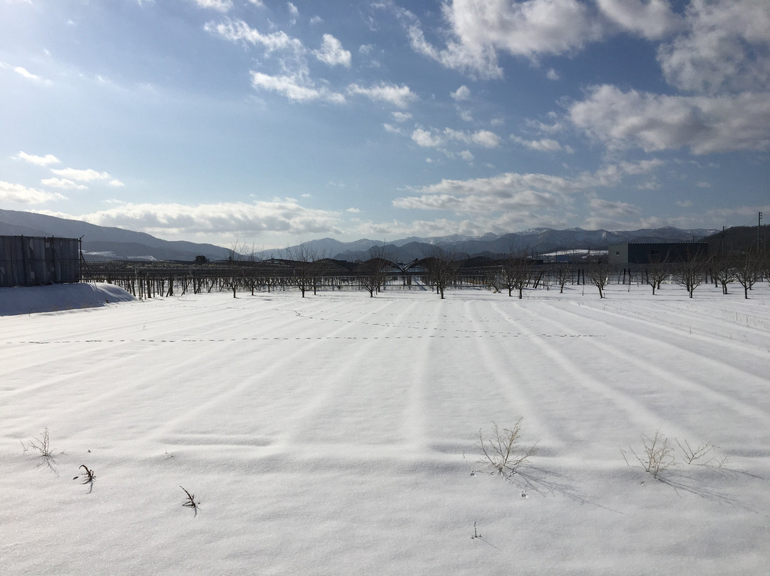 Yoichi Wine Brewery-余市町必去景点