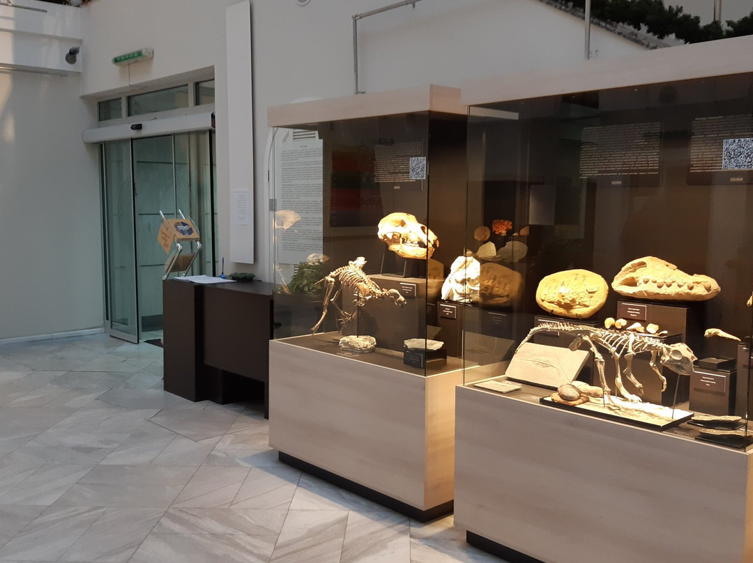 Avec Fine Arts Gallery-哈尔科夫必去景点