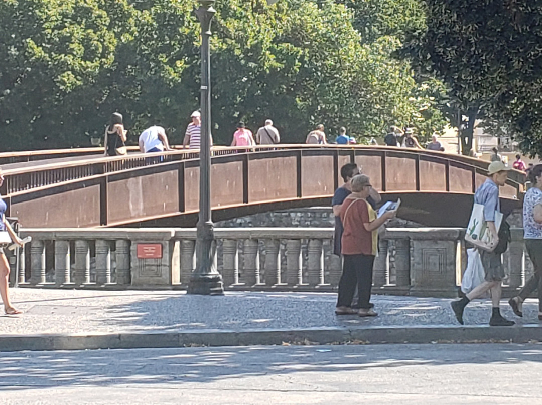 Rambla De La Llibertad景点图片