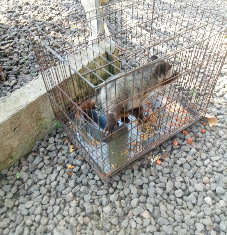 Twin Hill-Bunutin必去景点