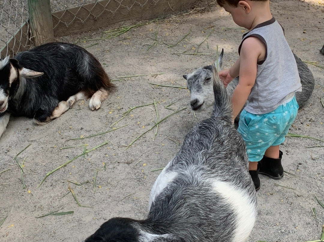 Cia dos Bichos-Cotia必去景点