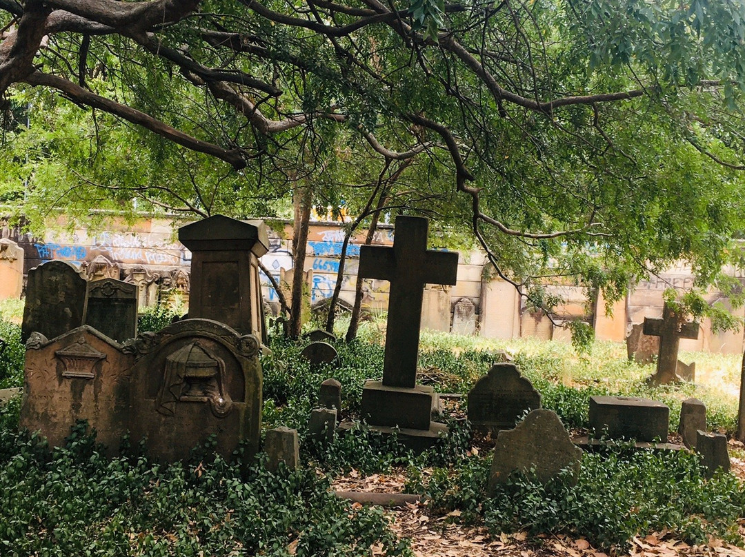 Camperdown Cemetery-新镇必去景点