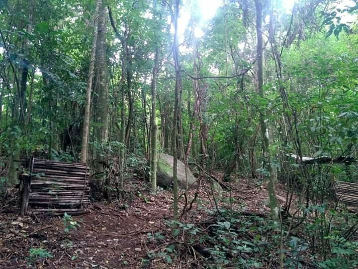 P.A.C. - Pinhalzinho Airsoft Camp景点图片