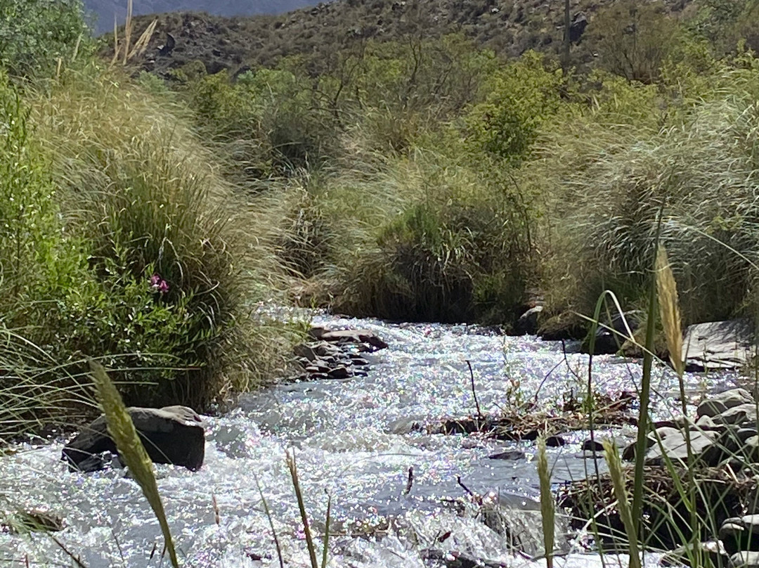 Posada del Blanco主图