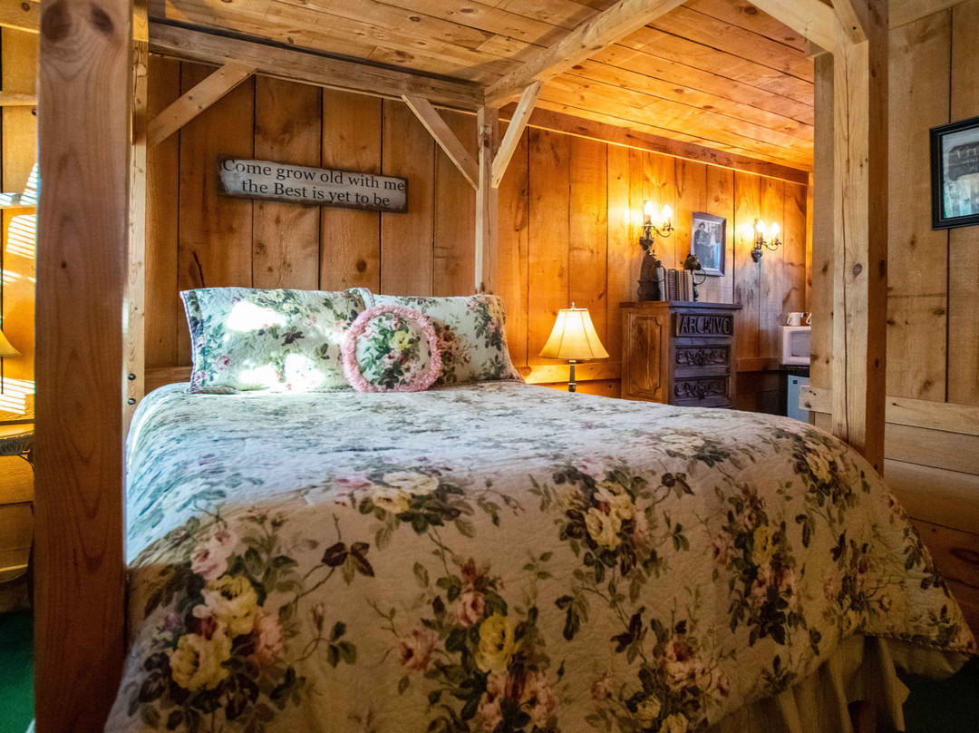 Lazy Cloud Lodge Bed and Breakfast主图