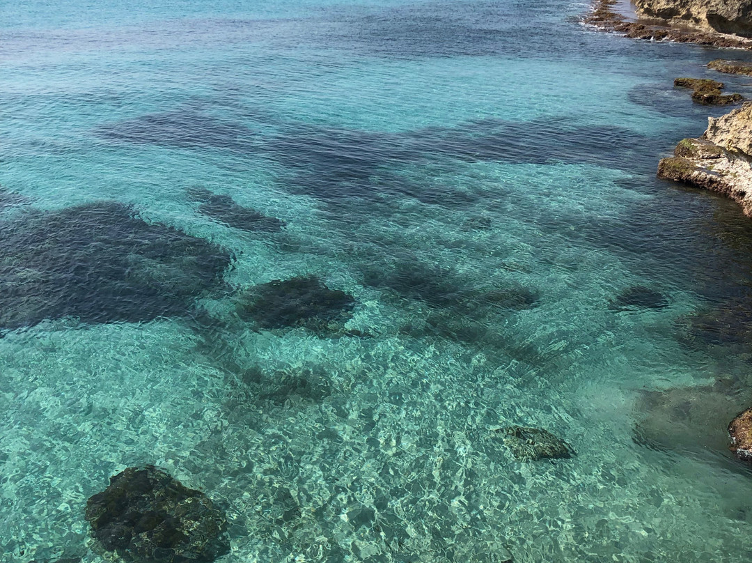 Lama旅游攻略图片