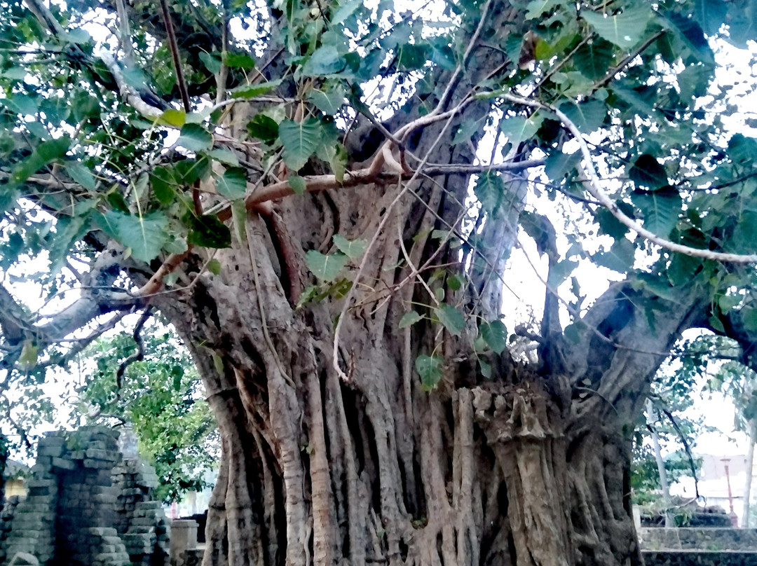 Wat Nokor-磅湛必去景点