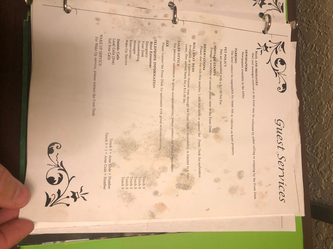 Super 8 by Wyndham Zanesville主图