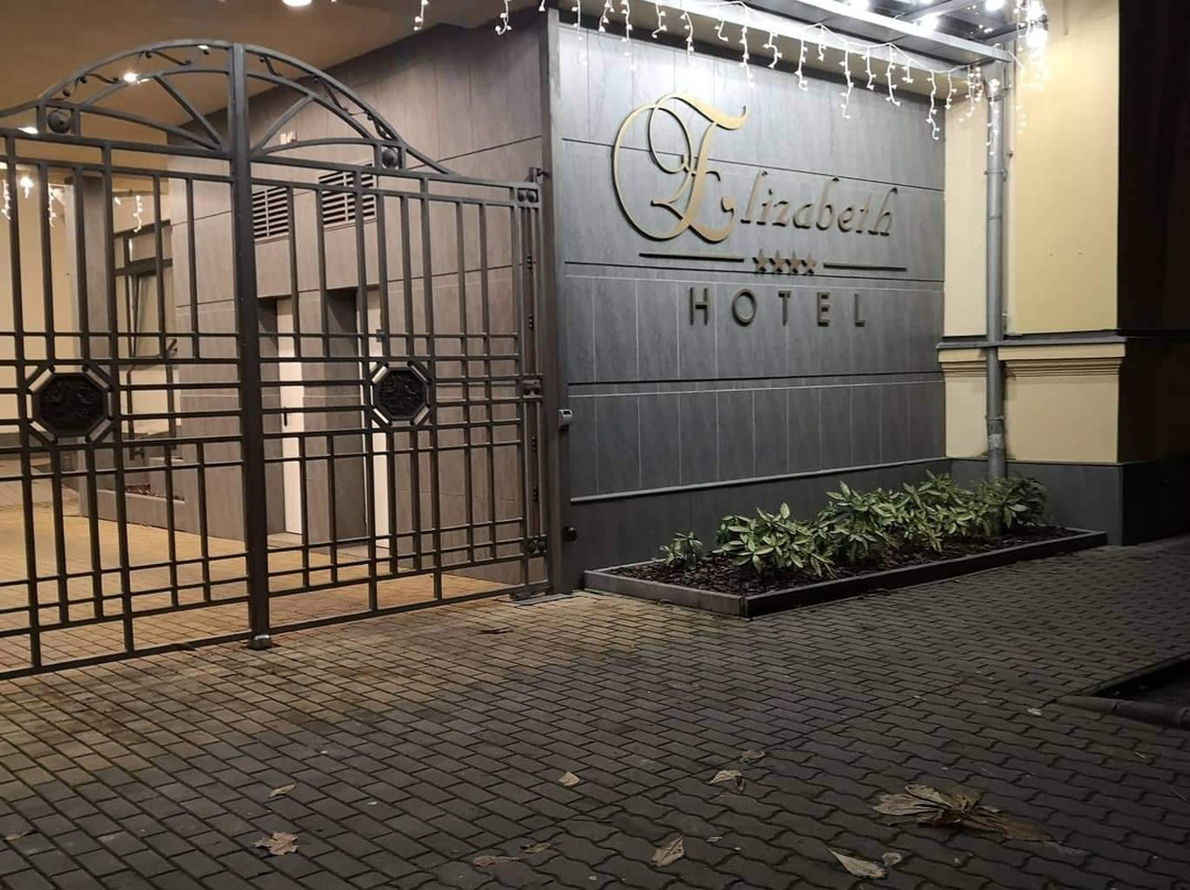 伊丽莎白酒店主图