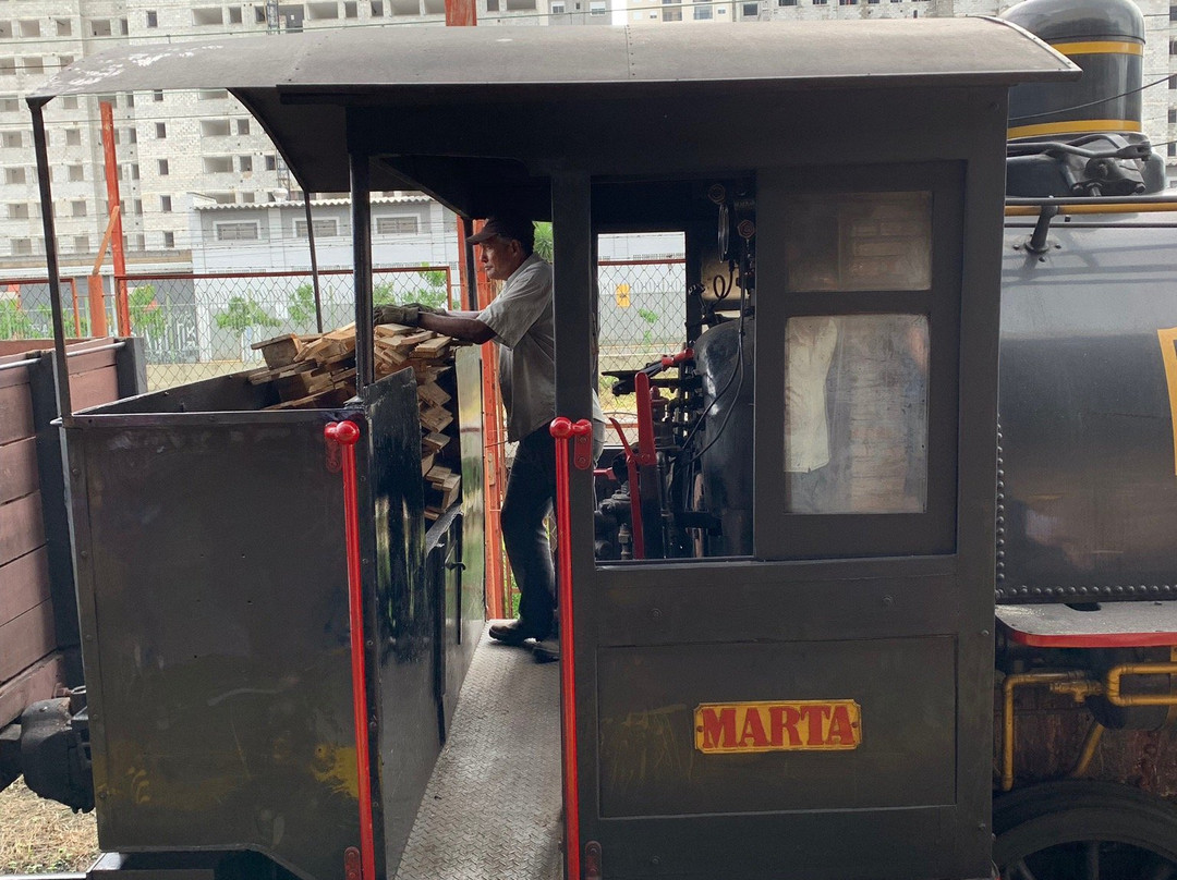 Passeio de Maria-Fumaca -Trem dos Imigrantes-圣保罗必去景点