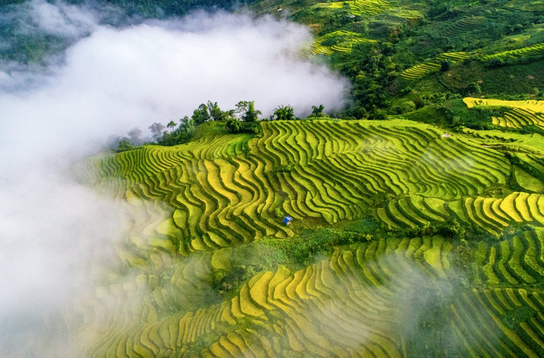Y Ty Village景点图片