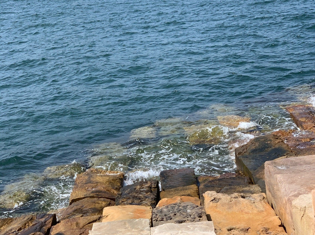 Barangaroo Reserve景点图片