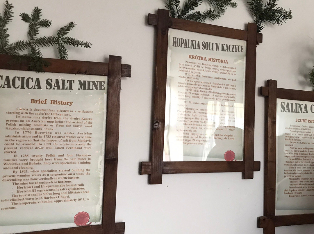 Cacica Salt Mine景点图片