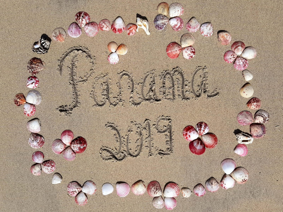 Togo Bed and Breakfast主图