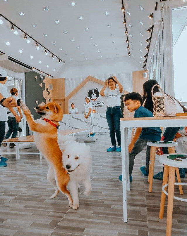 Bla Bla Boo-挽巴茵必去景点