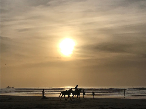 Lima Dromadaire-索维拉必去景点