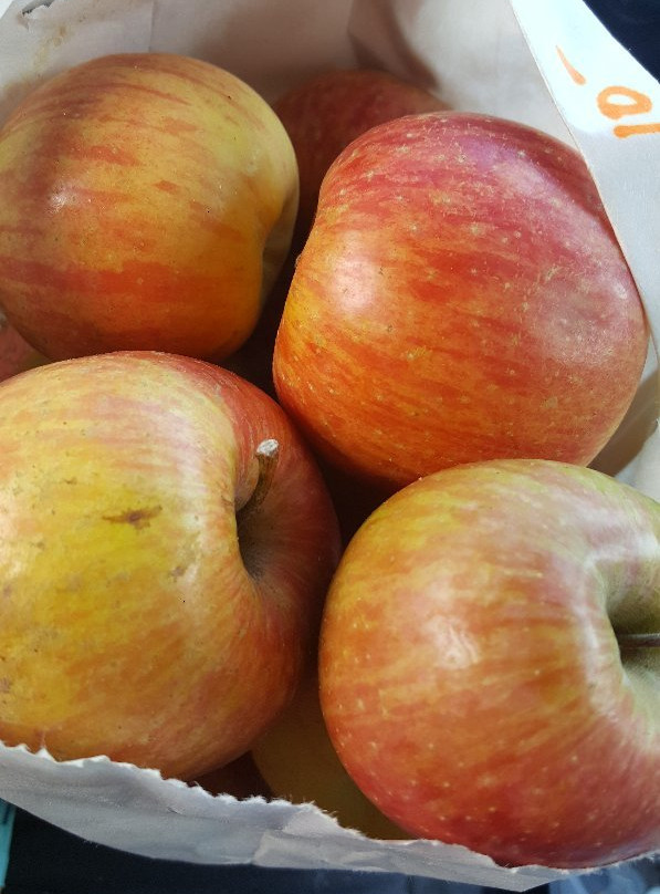 Moms Country Orchards-Oak Glen必去景点